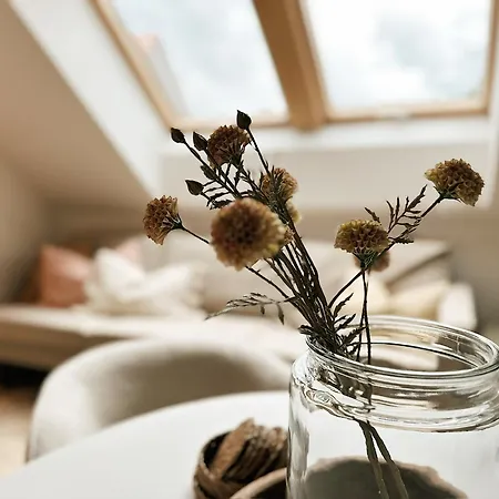 Appartement Der Karlshof - Natursuiten&spa Fulda