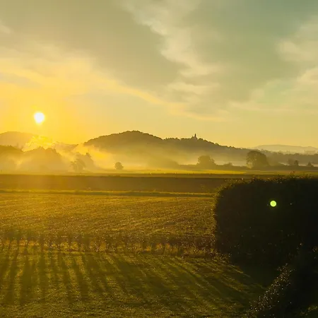 Der Karlshof - Natursuiten & פולדה