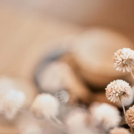 Der Karlshof - Natursuiten & * פולדה