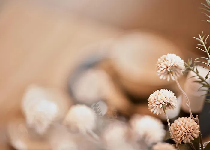 Der Karlshof - Natursuiten & * Φούλντα